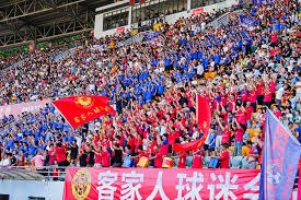 揭秘2026世界杯草地背后的科学与技术